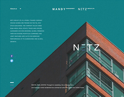 Netz Group LTD. - Visual Identity