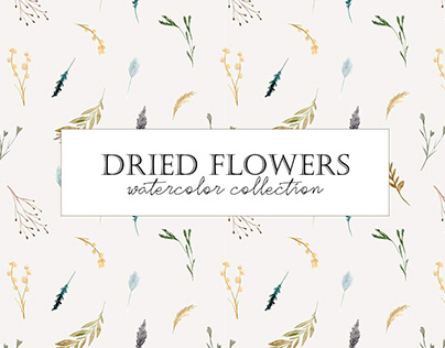 Dried Flowers. Watercolor Collection
