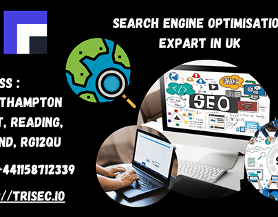 Search Engine Optimisation Expart In UK