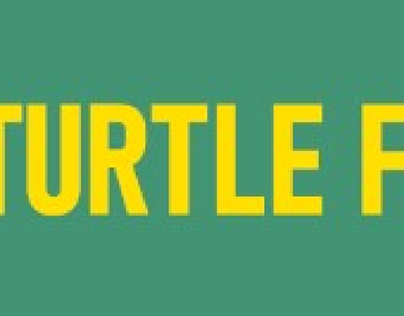 Turtle Fight