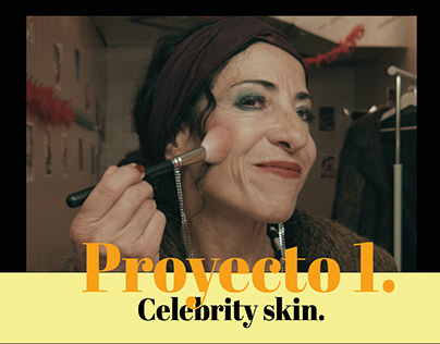 Proyecto 1. Celebrity Skin.