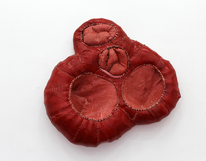 Heart valve, silicone, textile, 180*160*50cm, 2015