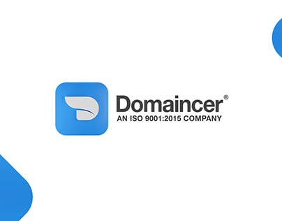 Domaincer Digital Agency Branding