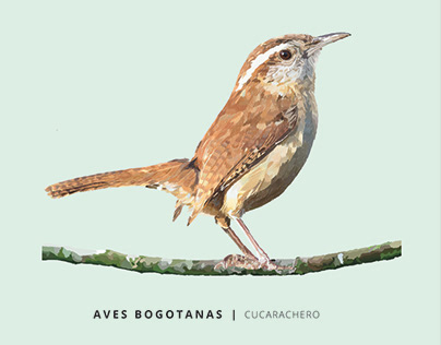 Calendario - Aves bogotanas