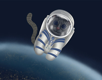 Raffles the Space Cat