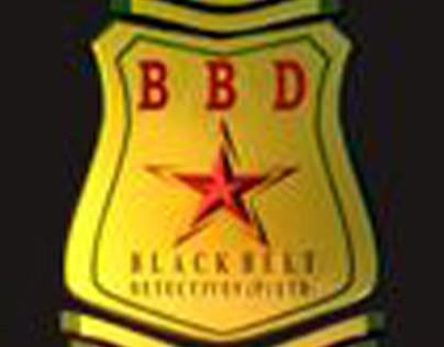 Black Belt Detectives Pvt. Ltd provides total security