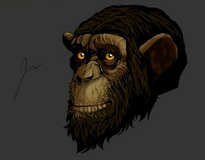 Code Monkey, character design
