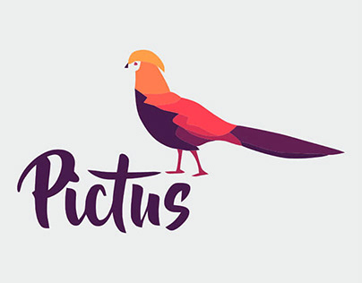 Pictus Logo Design