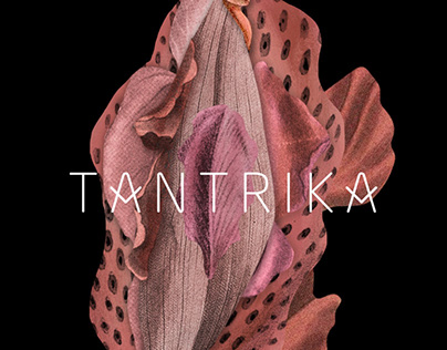 tantrika