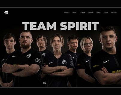 Киберспортивная команда Team Spirit