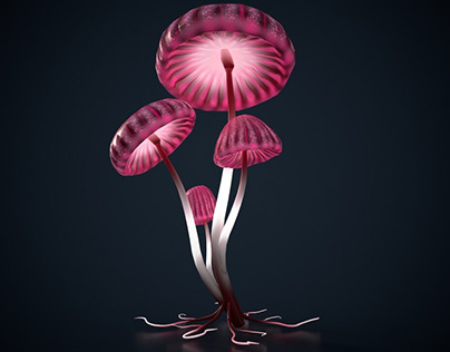 mushrooms are pink and brown