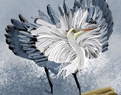 Great blue heron bird illustration