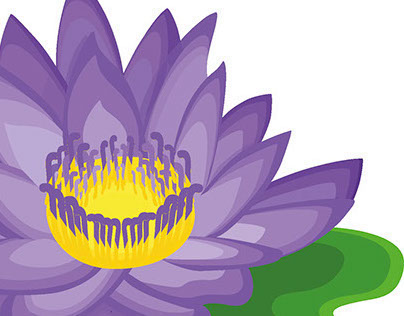 Lotus flower vector