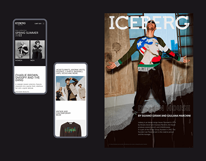 Iceberg eCommerce redesign concept