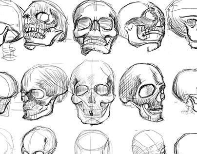 skulls drawing 【Drill】