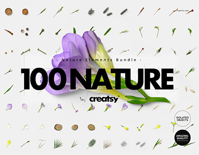 100 Elements Nature Bundle (isolated objects)