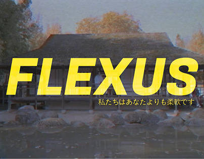 Tseu - Flexus feat. Raph (Clip Officiel)