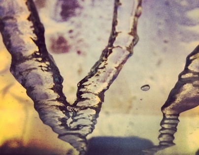 Instagram: Icy Windows