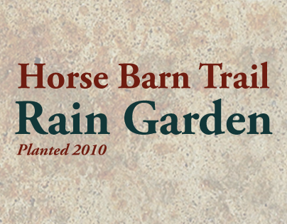 Horsebarn Trail Rain Garden