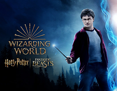 WIZARDING WORLD COLLECTION | HBO MAX