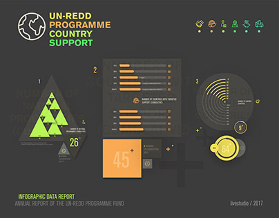 UN-REDD - Infographyc Data Report