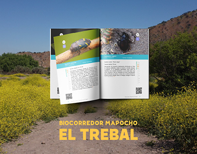 Project thumbnail - Guía de campo El Trebal