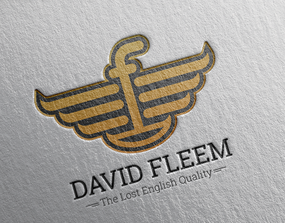 Logo Design - DAVID FLEEM