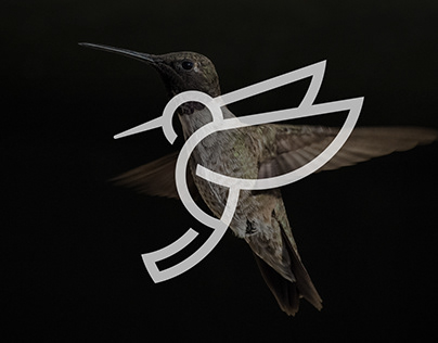 UNDEADBIRD不死鸟，标致车友组织标志设计