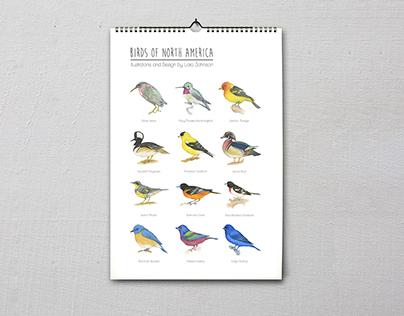 Illustrated Bird Calendar