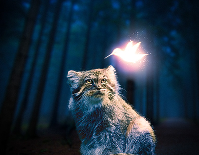 mystical cat