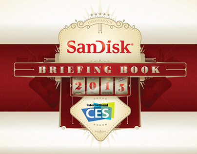 CES Manual for SanDisk