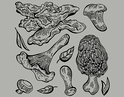 Wild Mushroom Illustrations & Pattern