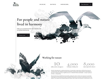 BirdLife Website Redesign
