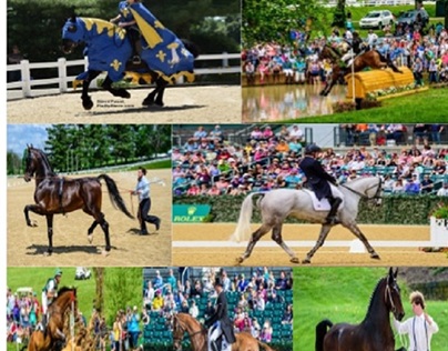 Eric Lanz: Kentucky Horse Park