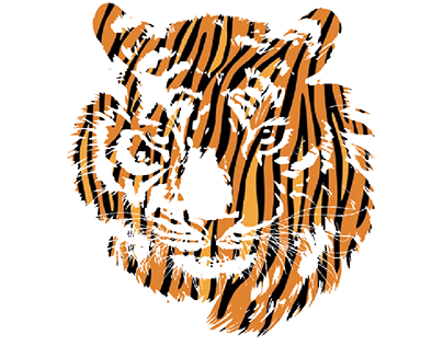 Tiger Face Strips Design Art