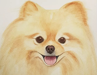 Ilustração de Pets em aquarela