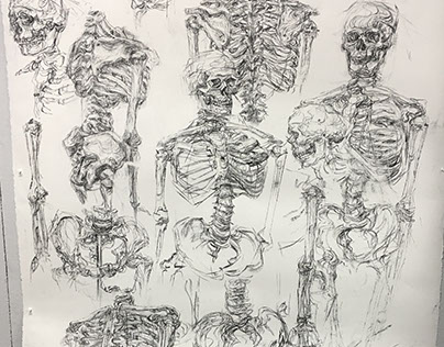 RISD foundation year: Drawing- skeleton studies