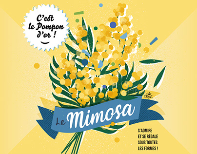 Affiche Le Mimosa
