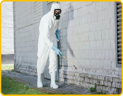 The Nitty-Gritty of Pest Control Expenses