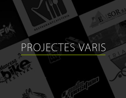 Projectes Varis