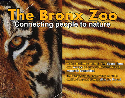 Bronx Zoo Poster