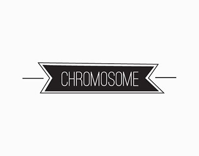 XX Chromosome_Branding