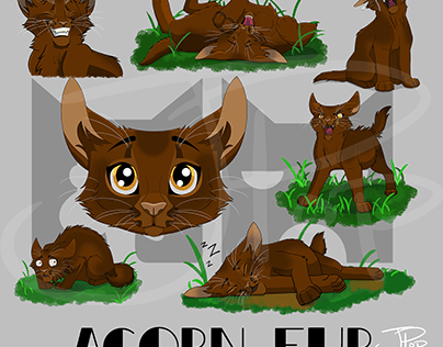 "Warriors" Acorn Fur - Kitten Character Sheet