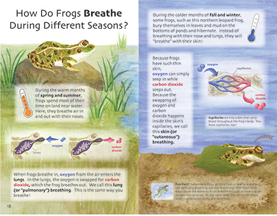 How Do Frogs Breathe During Different Seasons?