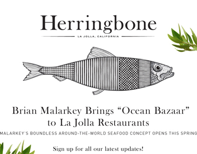 Herringbone Website