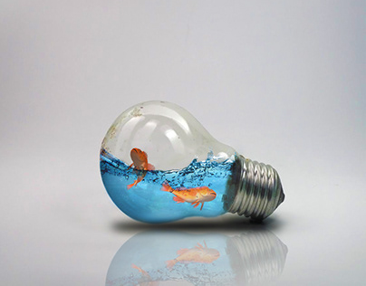 FISH IN A BULB