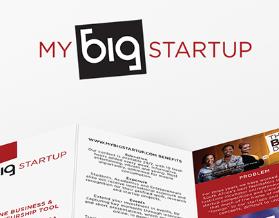 My Big Startup Brochure