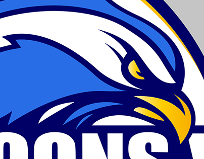 Falcons XI Logo design & Rebranding