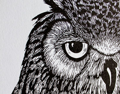 Xylography owl illustration