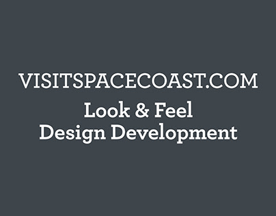 Website Look & Feel Development